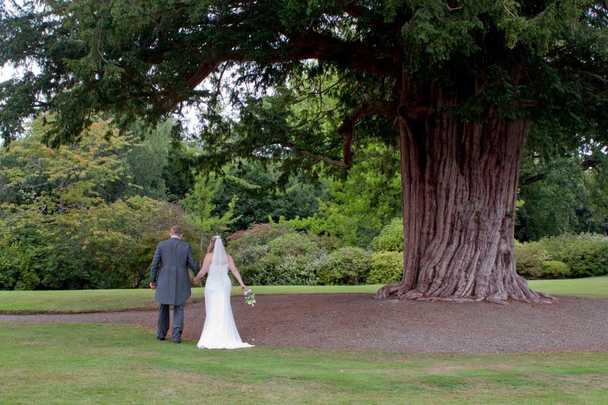 Gallery Item 54 for Yew Lodge Country House
