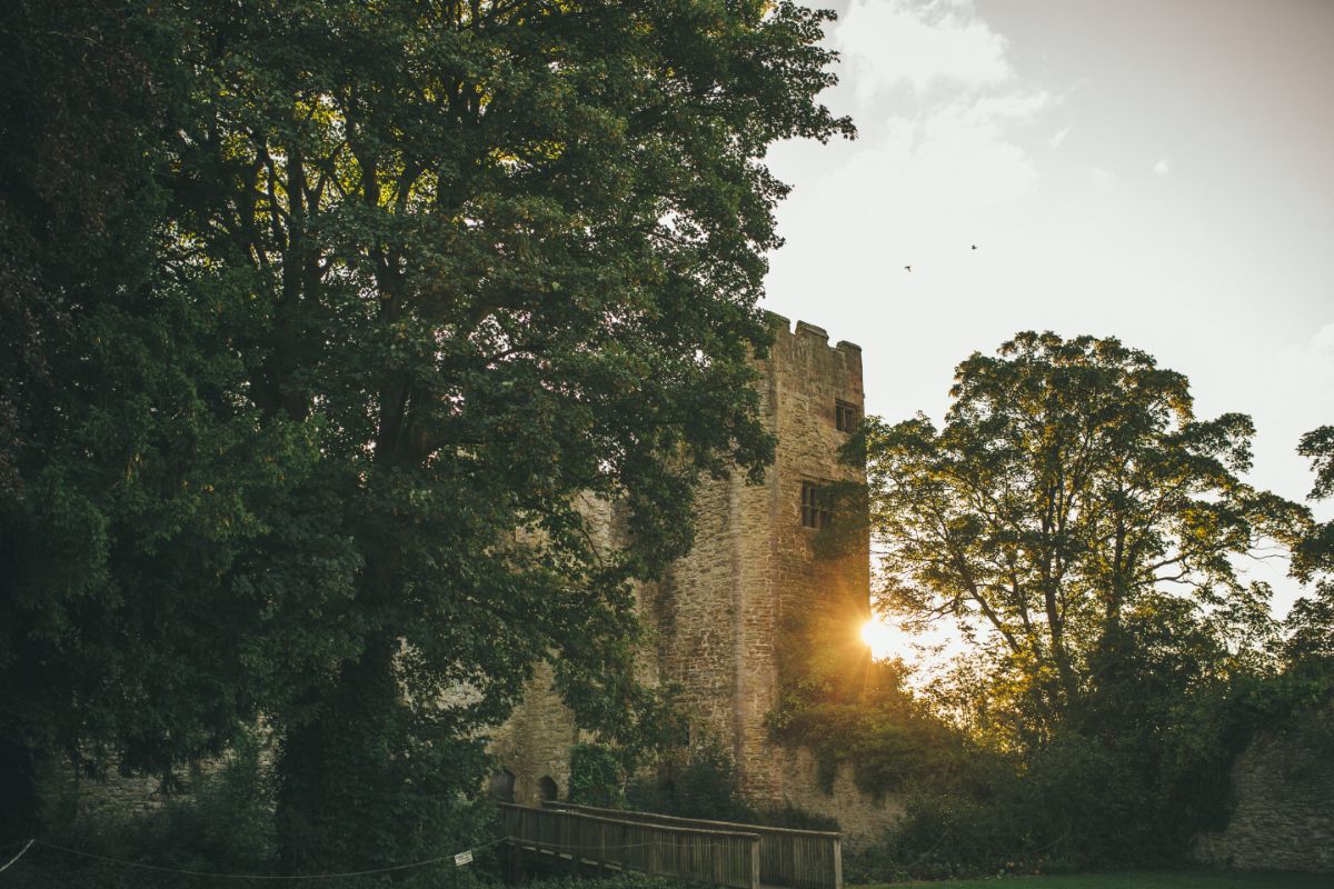 Gallery Item 9 for Ludlow Castle