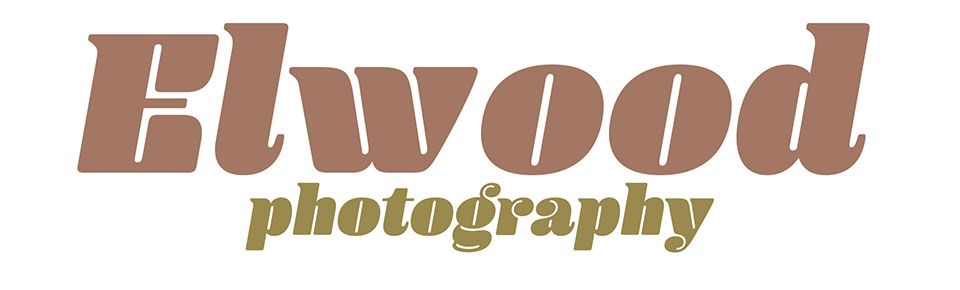 Tim Elwood Photography-Image-1