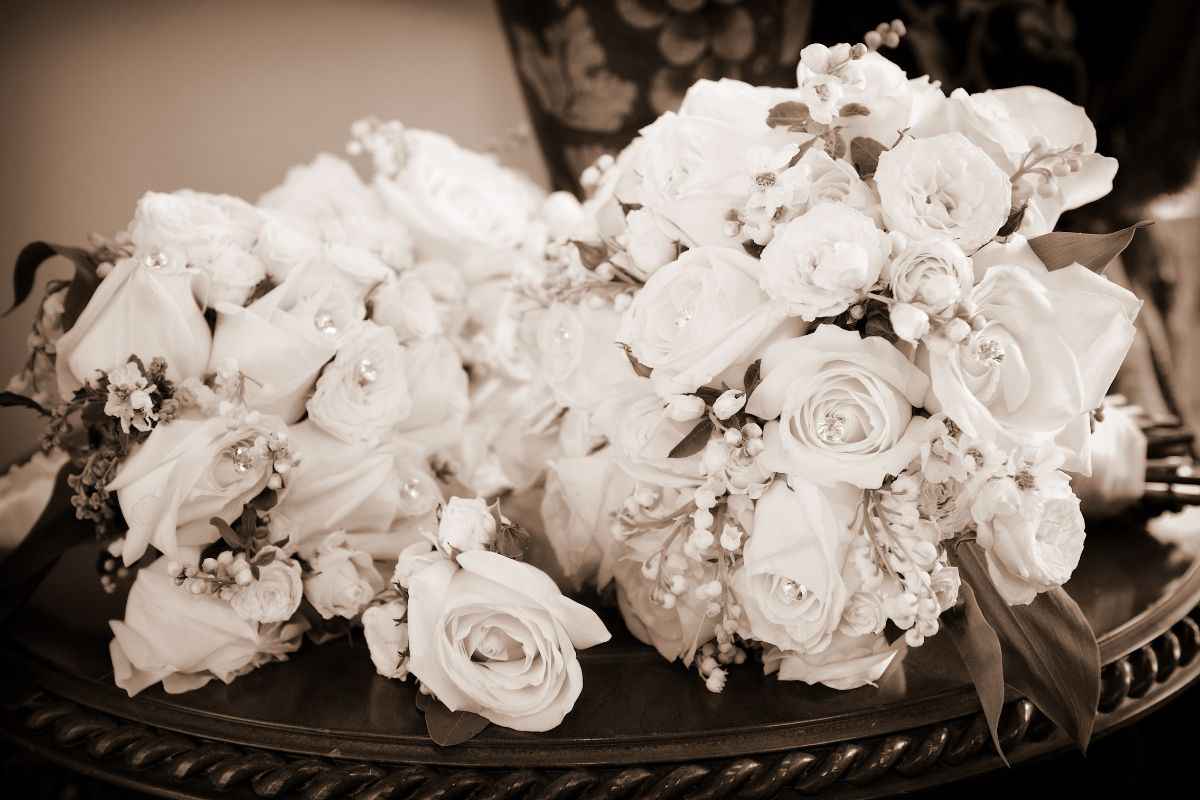 E L Norman Photography-Image-63