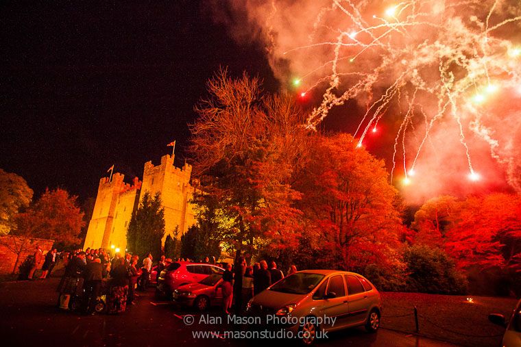 Reaction Fireworks-Image-6