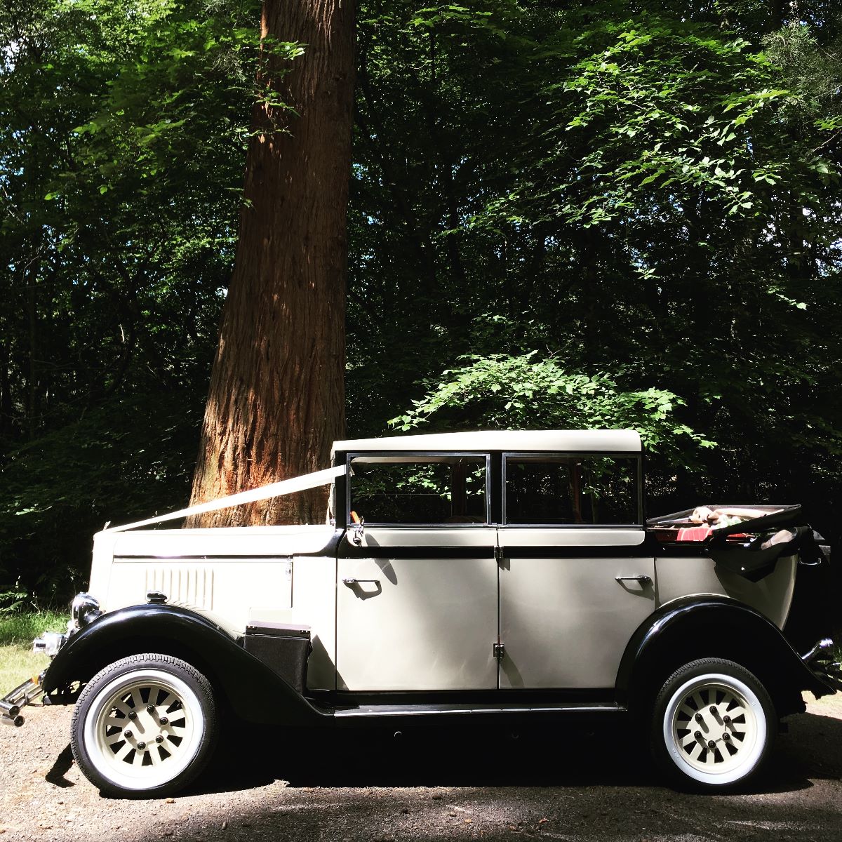 Brooklands Wedding Cars Sussex-Image-28