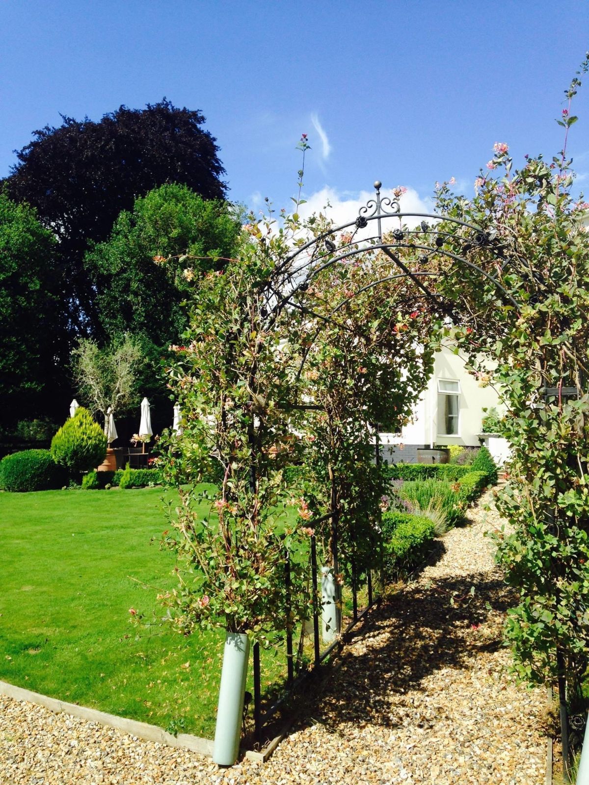 Mercure Chester Abbots Well Hotel-Image-1
