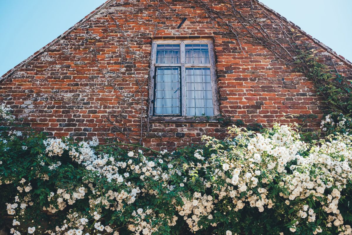 Hales Hall & The Great Barn-Image-62