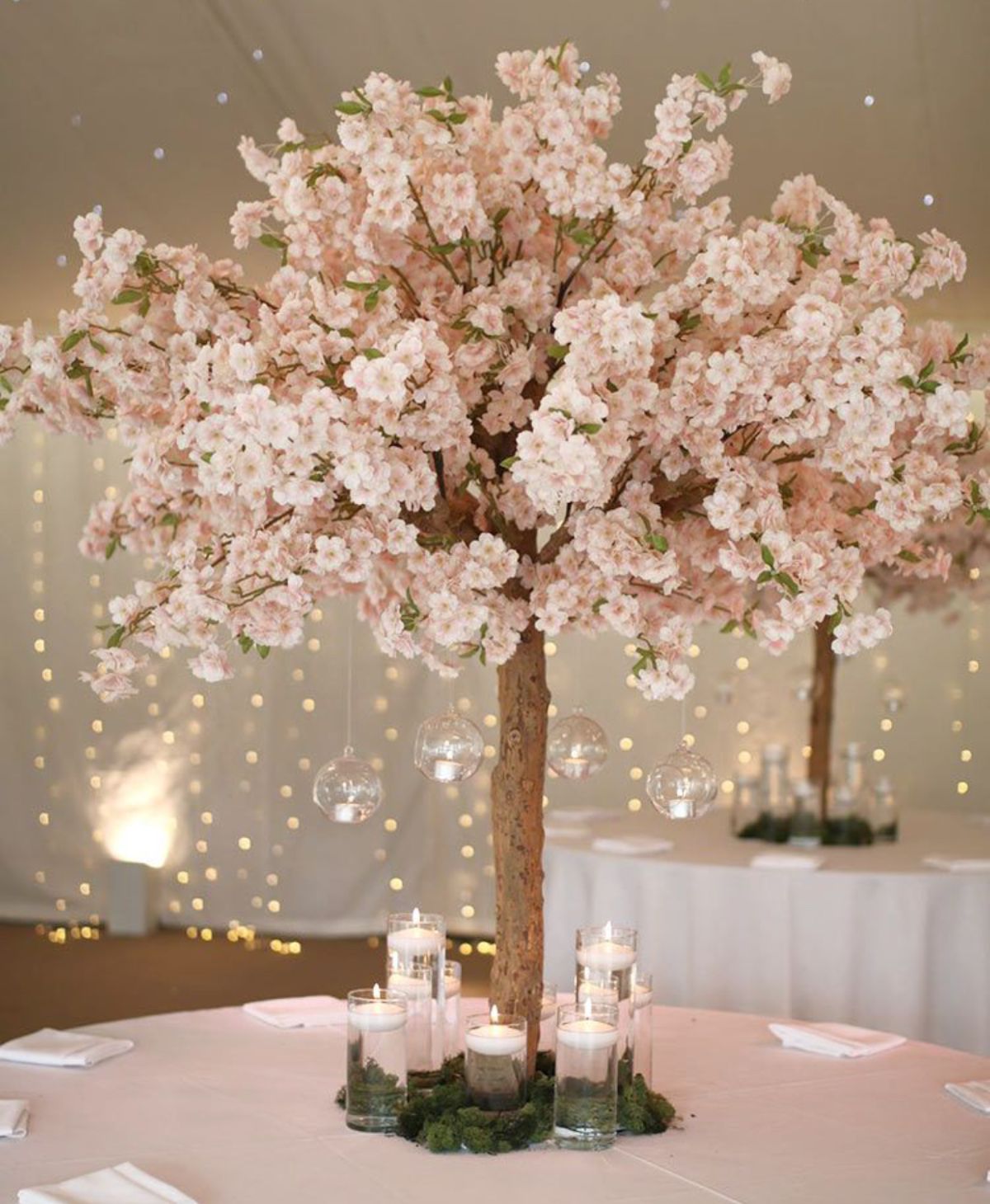 White Orchid Events-Image-18