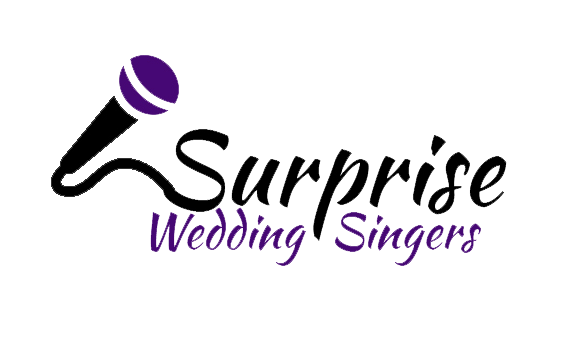 Surprise Wedding Singers-Image-2