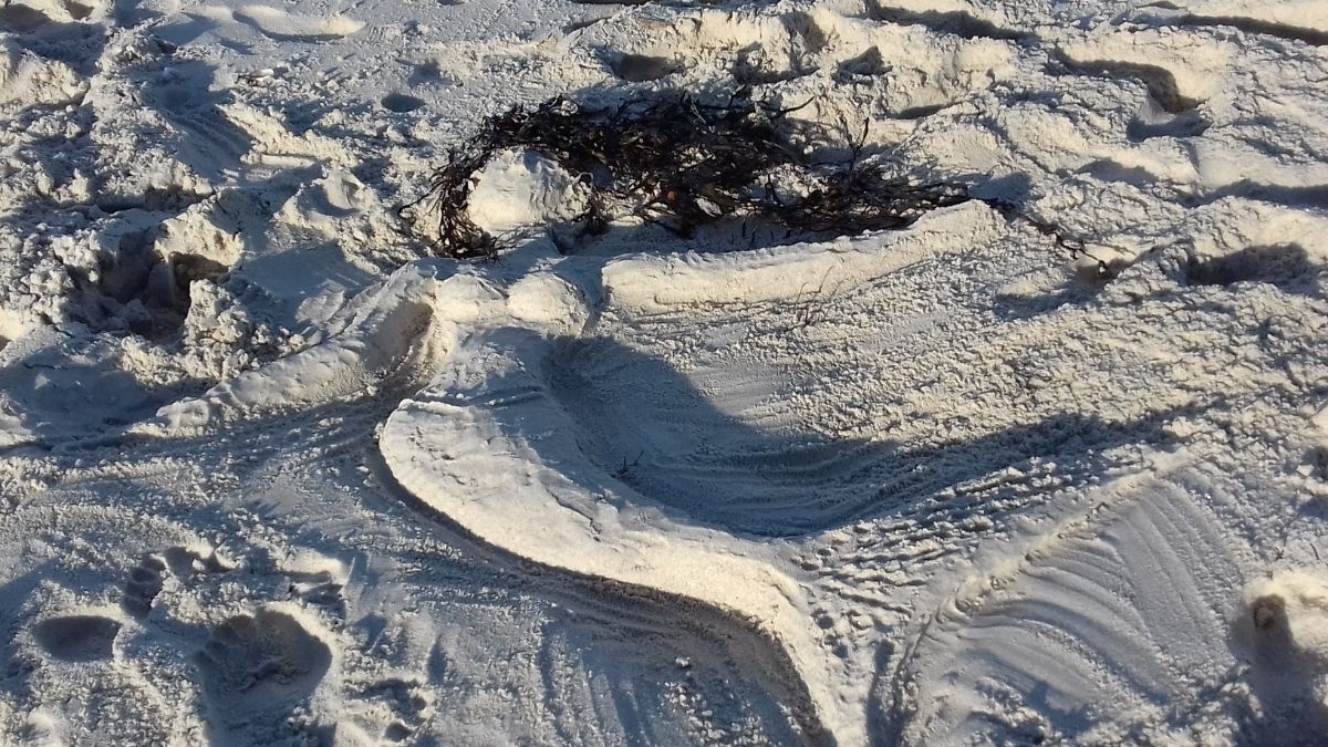 Kymaurah Honeymoon Cottages-Image-40