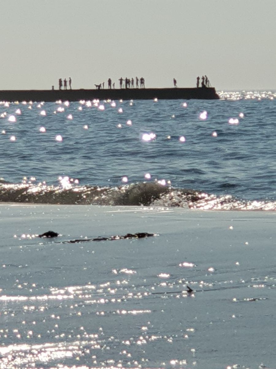 Kymaurah Honeymoon Cottages-Image-23