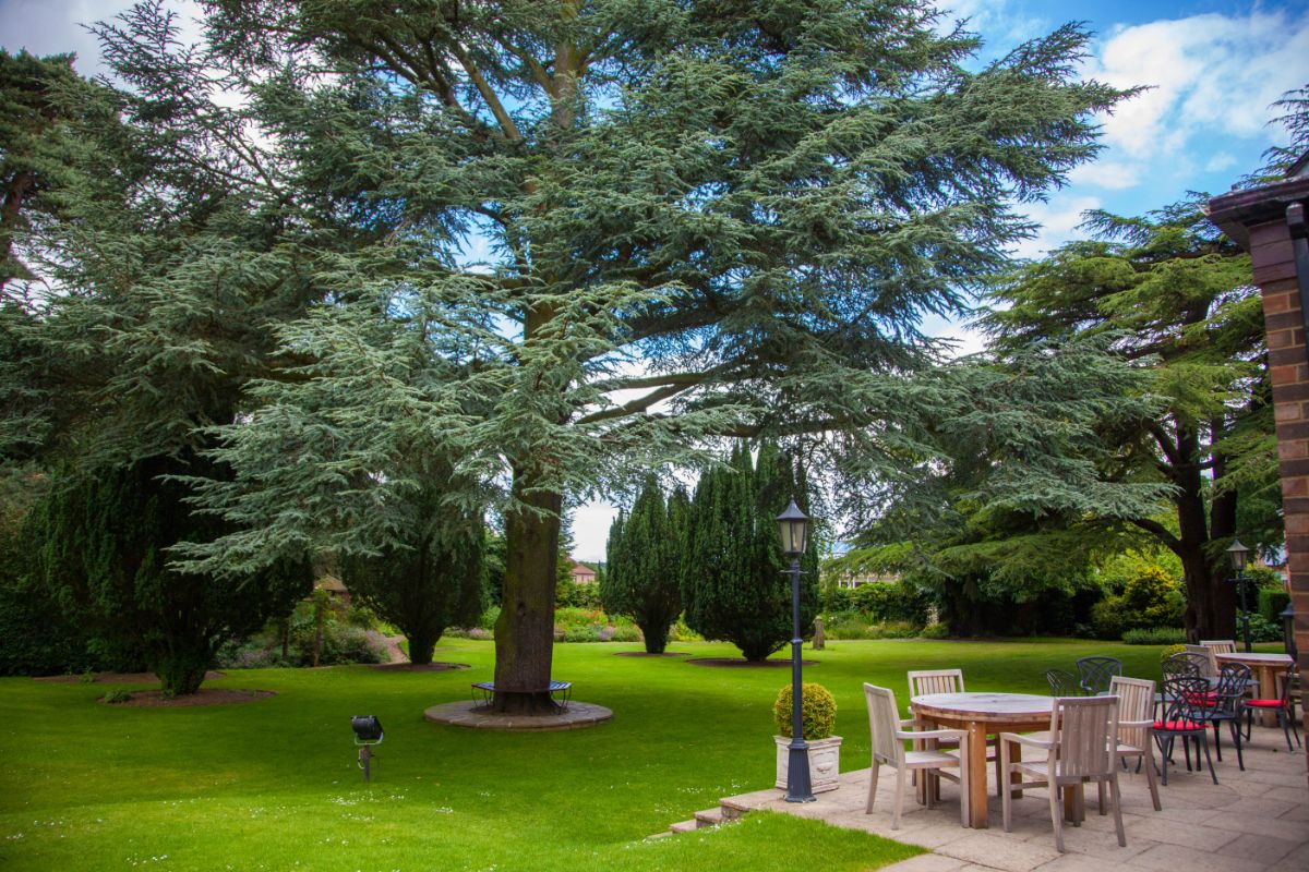 The Parsonage Country House Hotel & Spa-Image-80