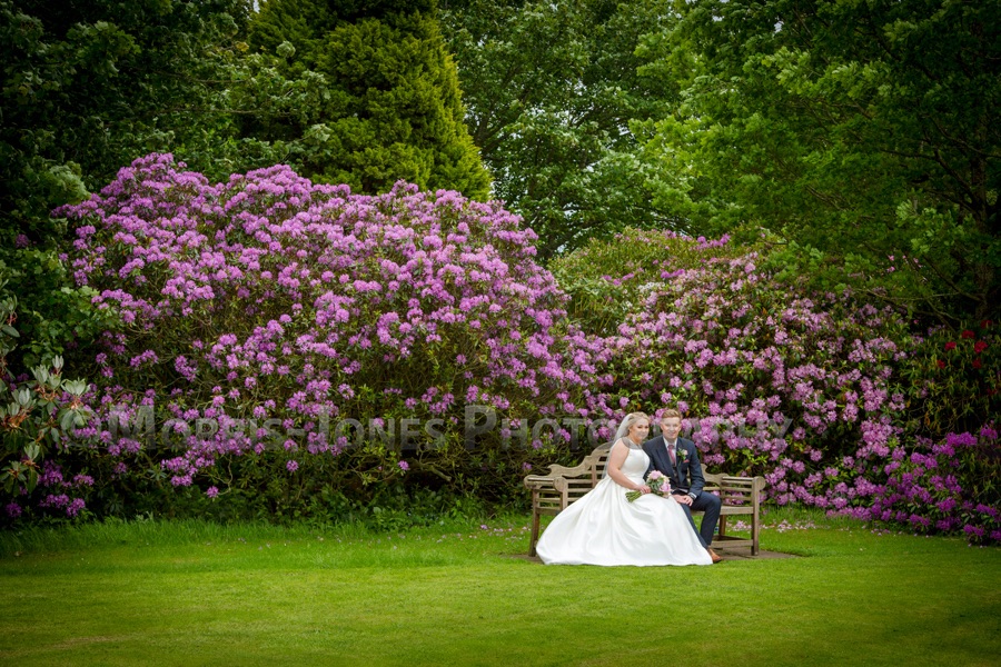 Morris-Jones Photography-Image-37