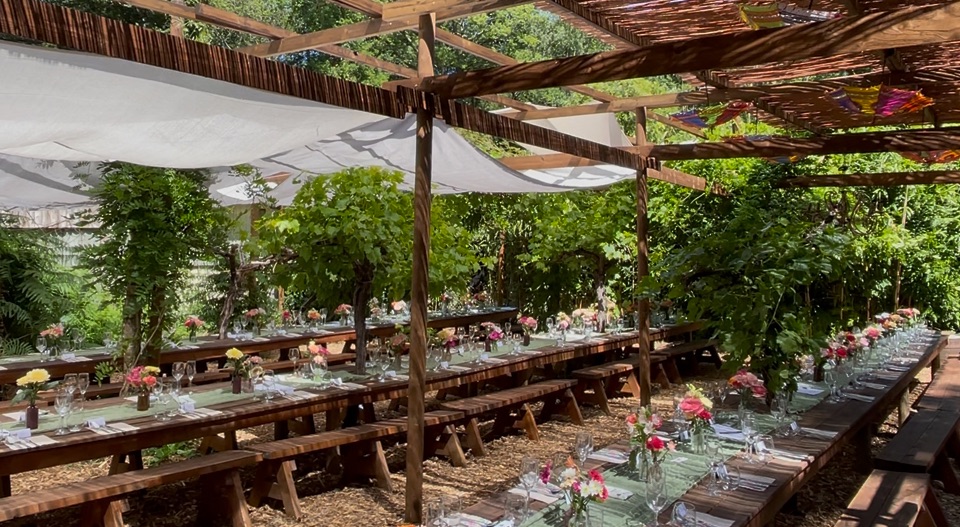 Gallery Item 12 for Harewood Forest