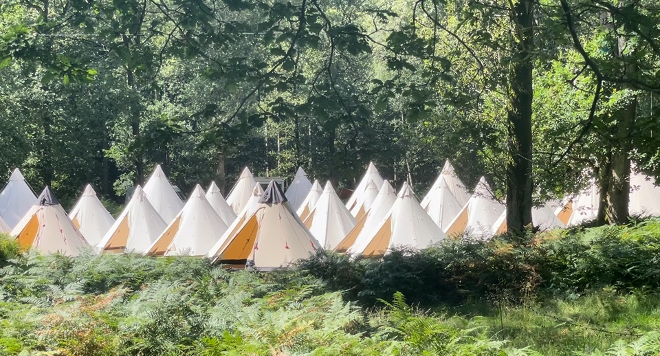 Gallery Item 25 for Harewood Forest