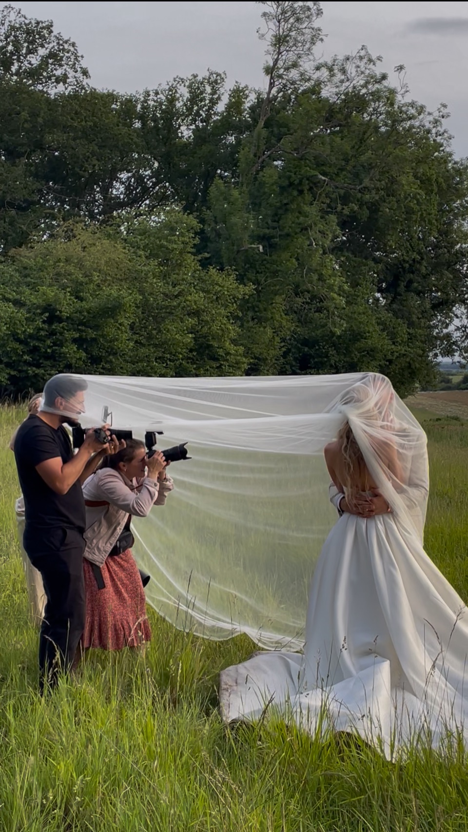 Gallery Item 27 for Harewood Forest