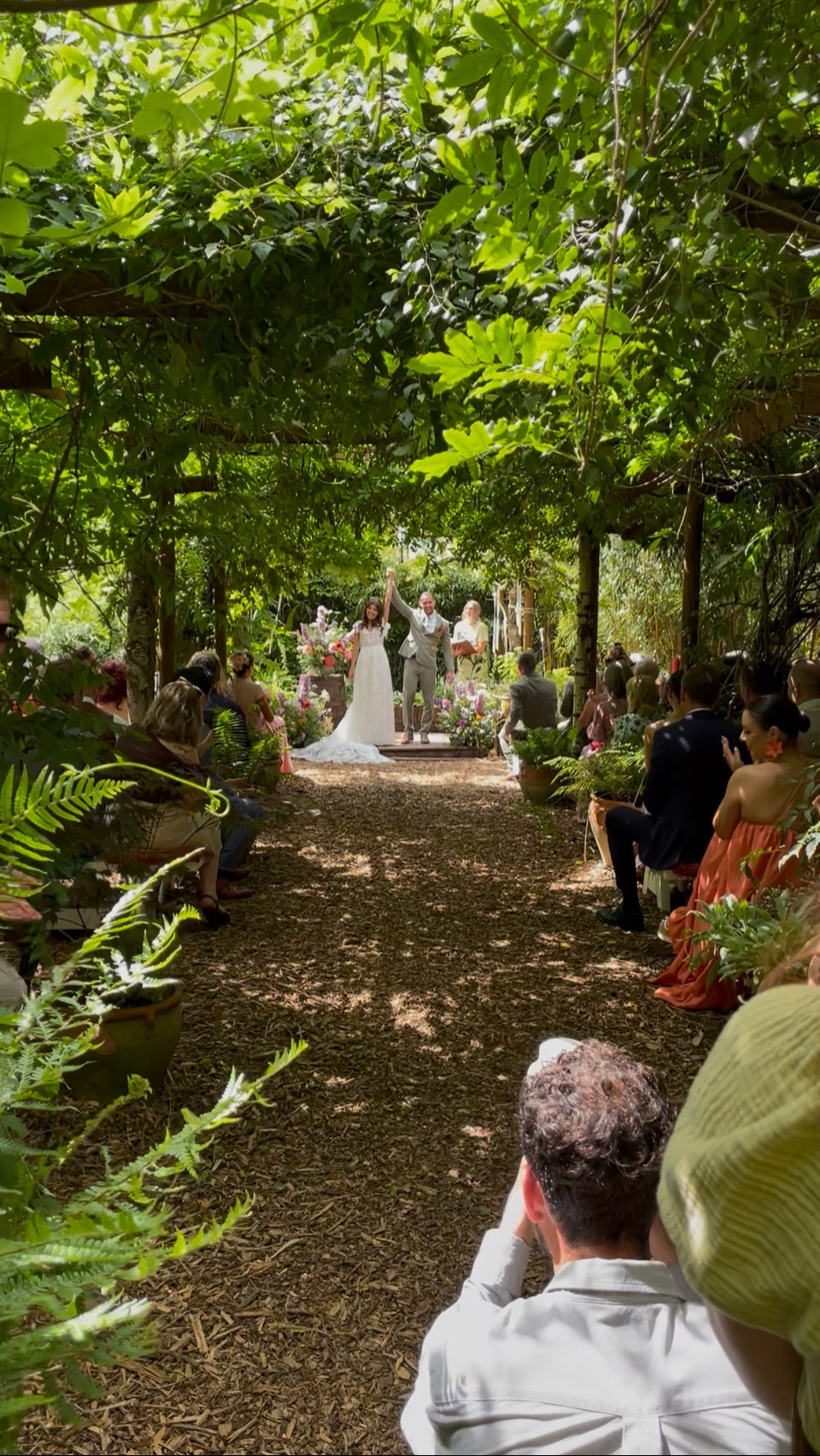 Gallery Item 7 for Harewood Forest