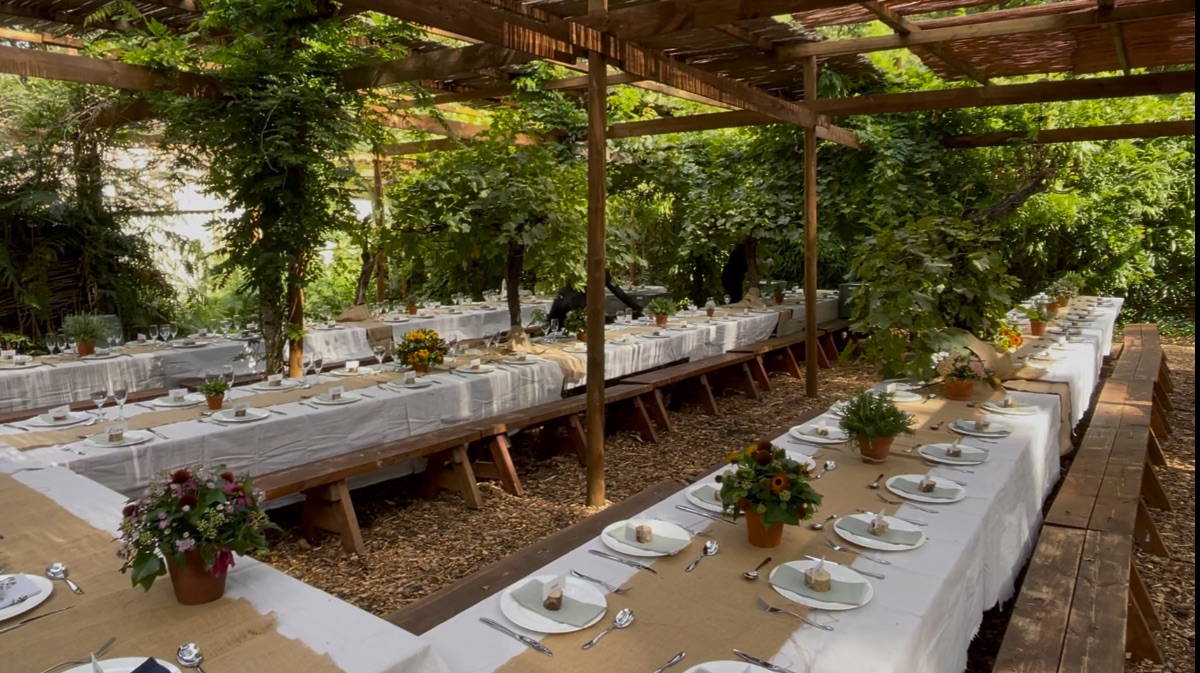 Gallery Item 14 for Harewood Forest