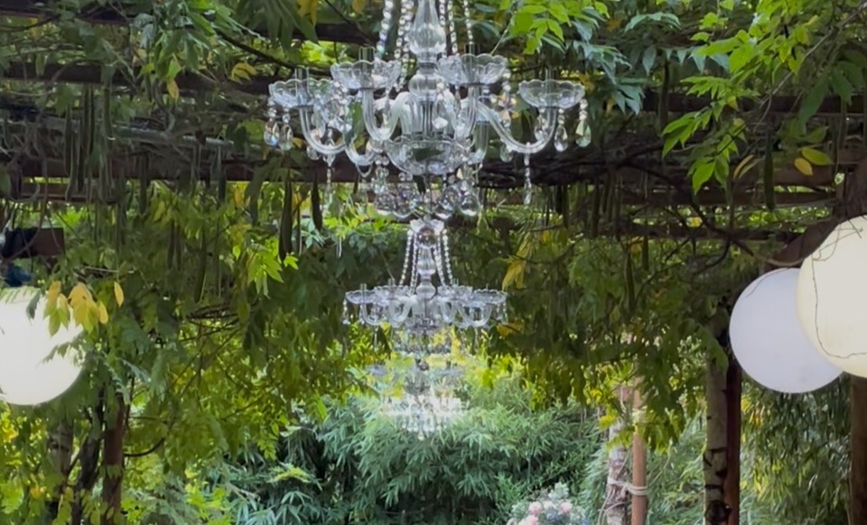 Gallery Item 16 for Harewood Forest