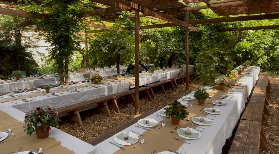 Gallery Item 19 for Harewood Forest