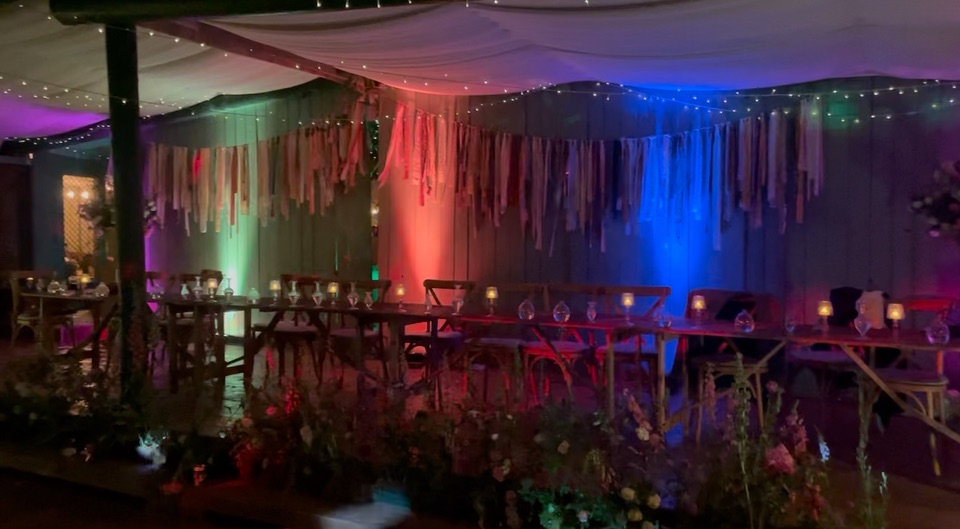 Gallery Item 28 for Harewood Forest