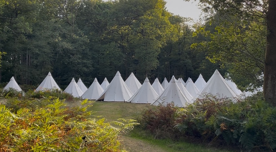 Gallery Item 24 for Harewood Forest