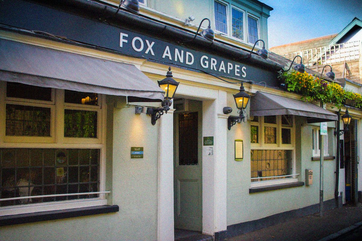 The Fox and Grapes-Image-49