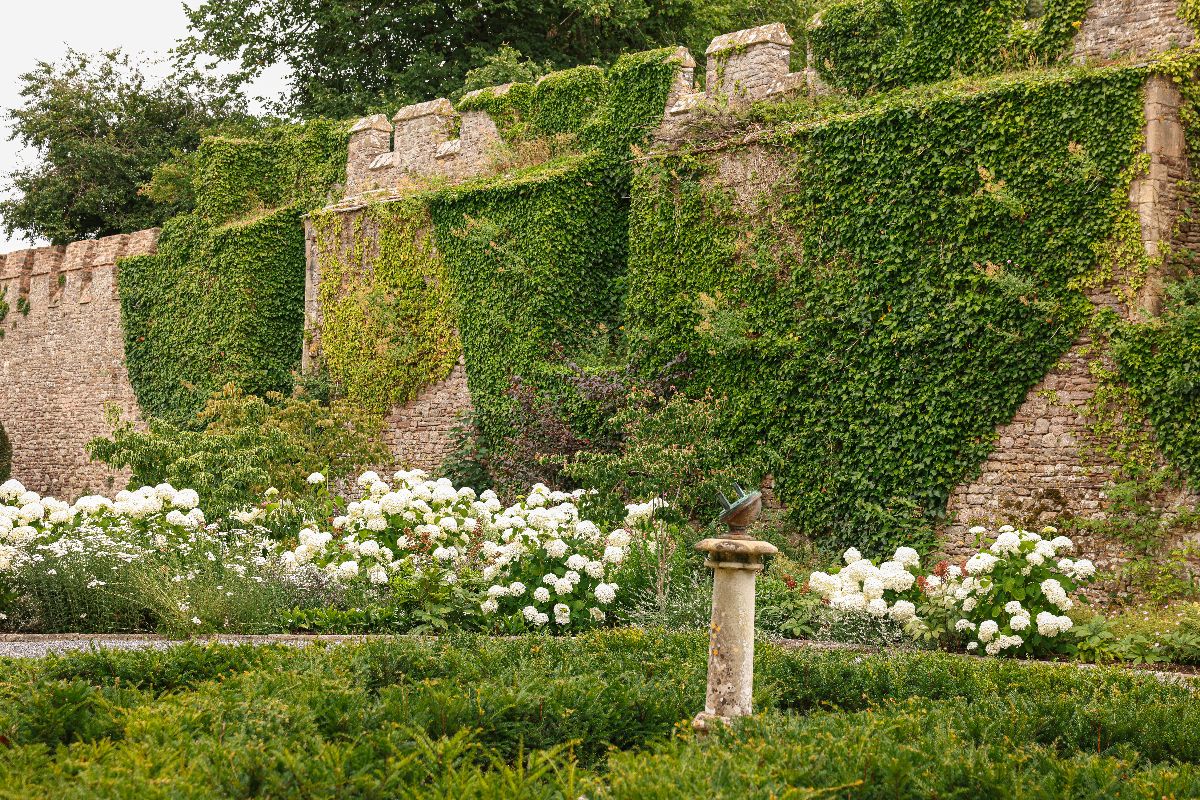 Thornbury Castle-Image-20
