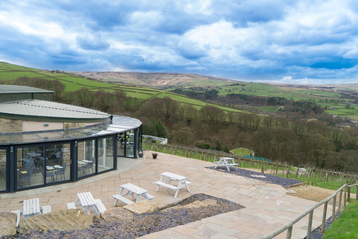 Gallery Item 54 for Holmfirth Vineyard