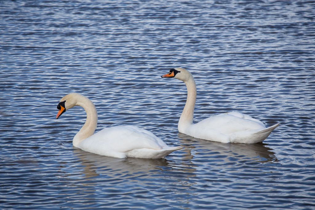 Gallery Item 17 for Quantock Lakes