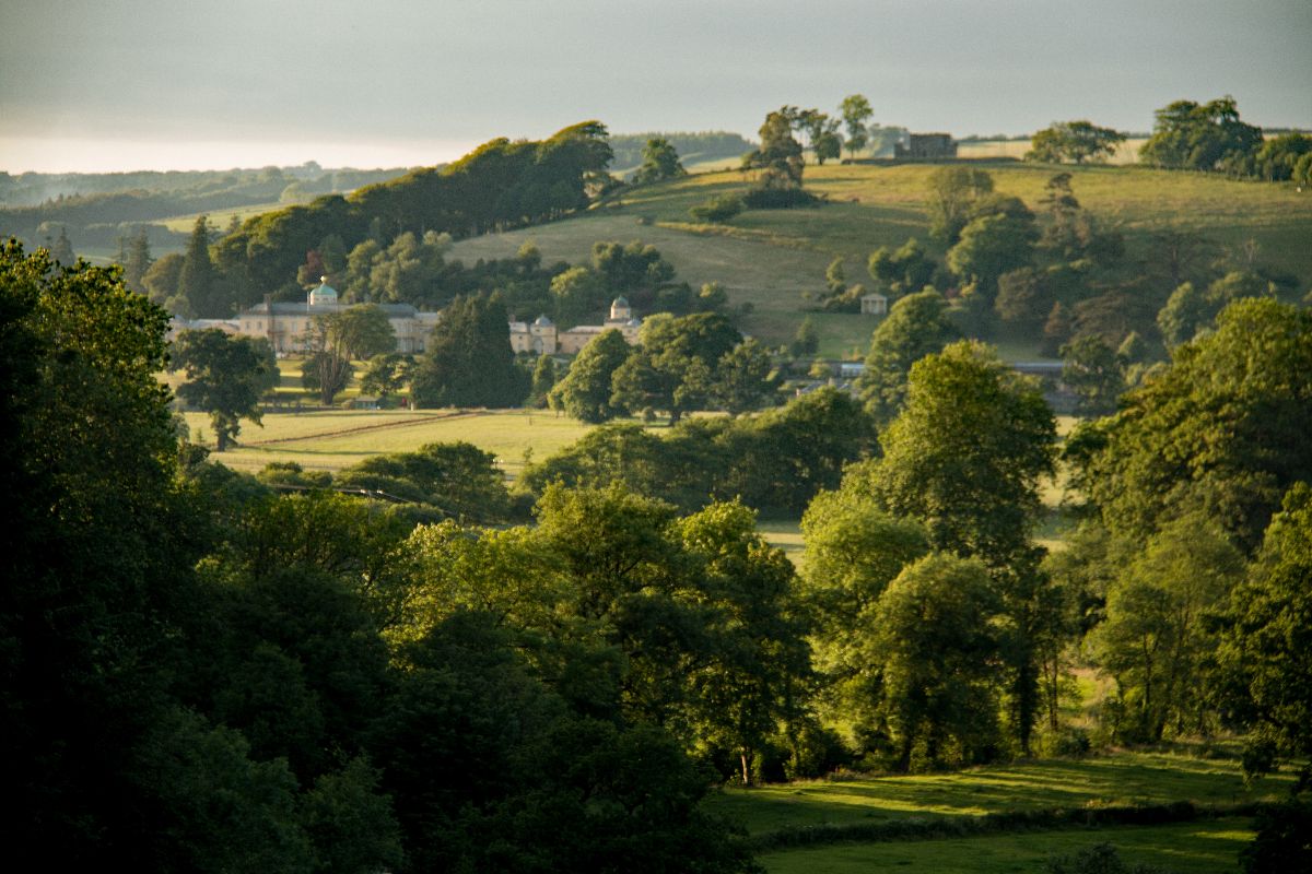 Gallery Item 65 for Castle Hill