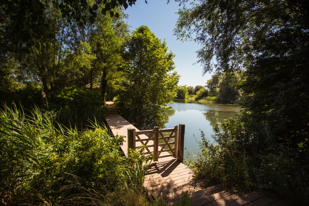 Gallery Item 28 for Sculpture by the lakes