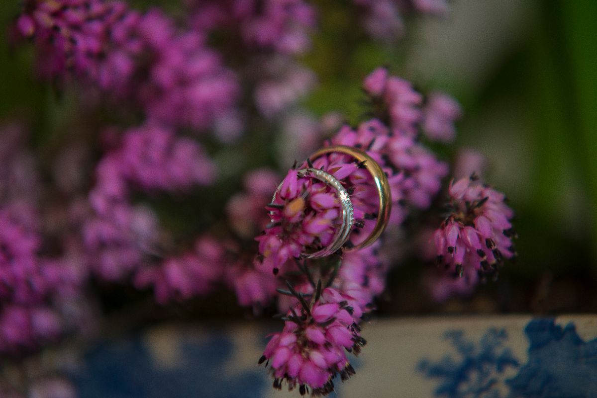 Gallery Item 79 for Falcon Hotel