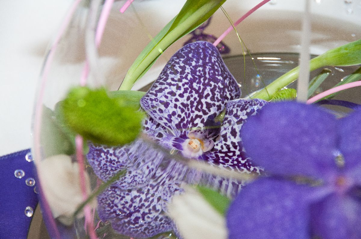 Gallery Item 64 for Falcon Hotel