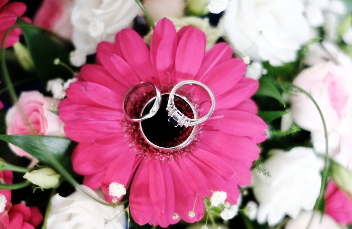 Gallery Item 131 for Falcon Hotel