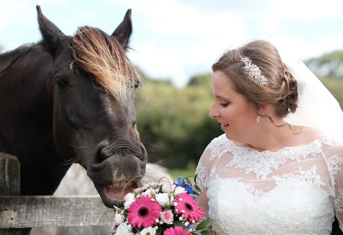 Gallery Item 146 for Falcon Hotel