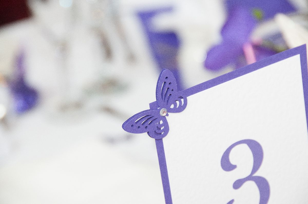 Gallery Item 61 for Falcon Hotel