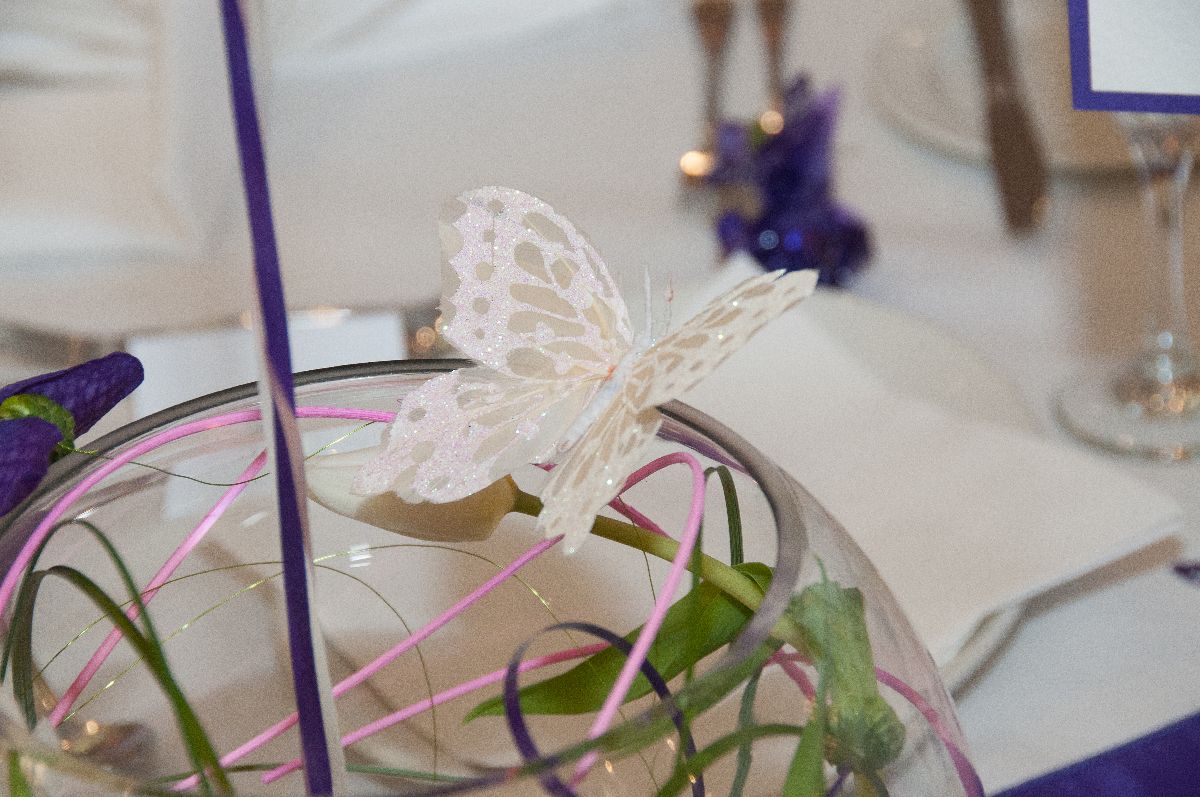 Gallery Item 66 for Falcon Hotel