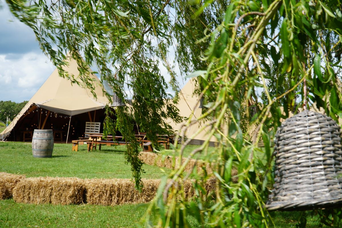 Dedham Vale Vineyard-Image-2