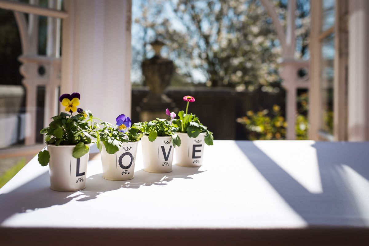 Gallery Item 37 for Barley Wood