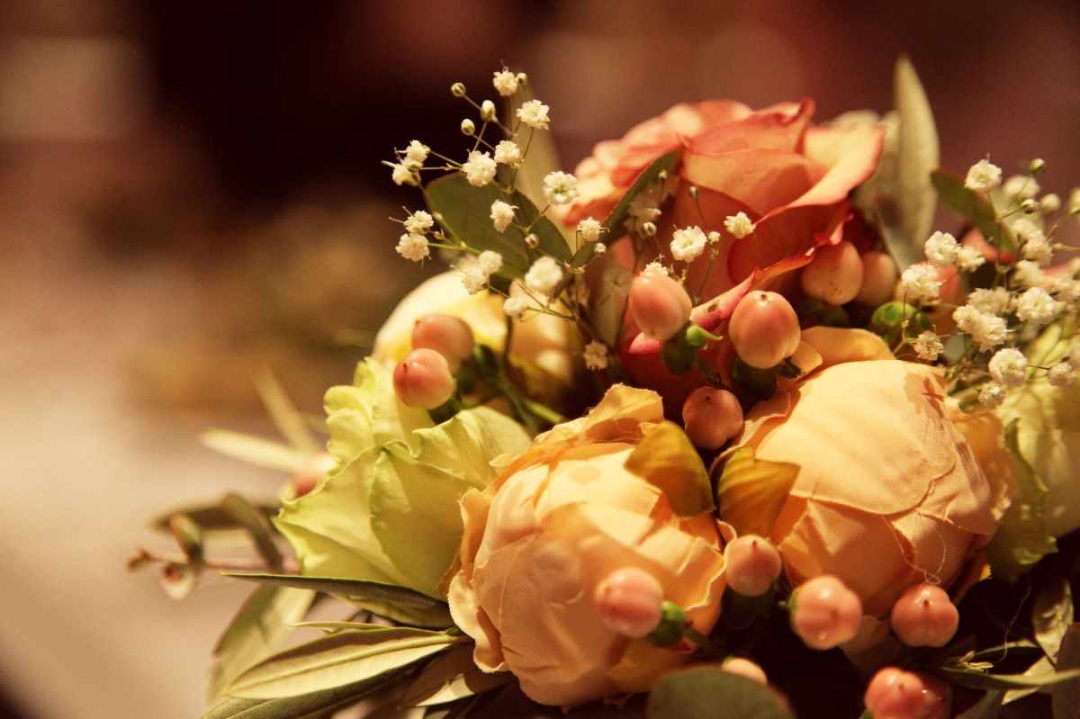 Peggy Pollock Photography-Image-100