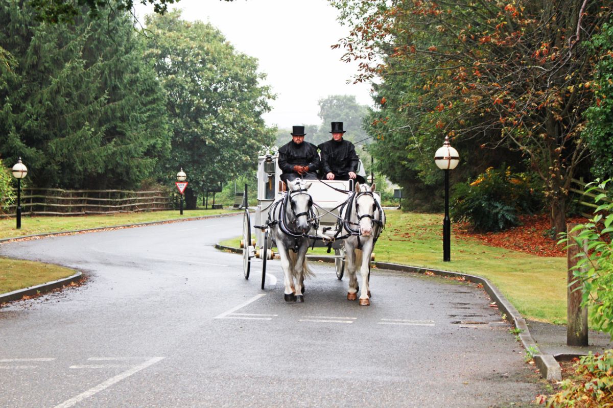 The Pinewood Hotel-Image-30
