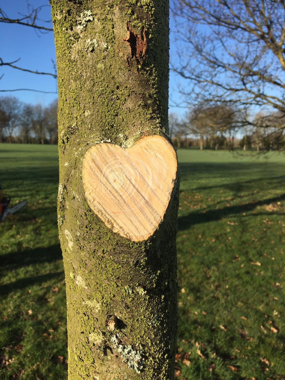 Park Wood Golf Club-Image-1
