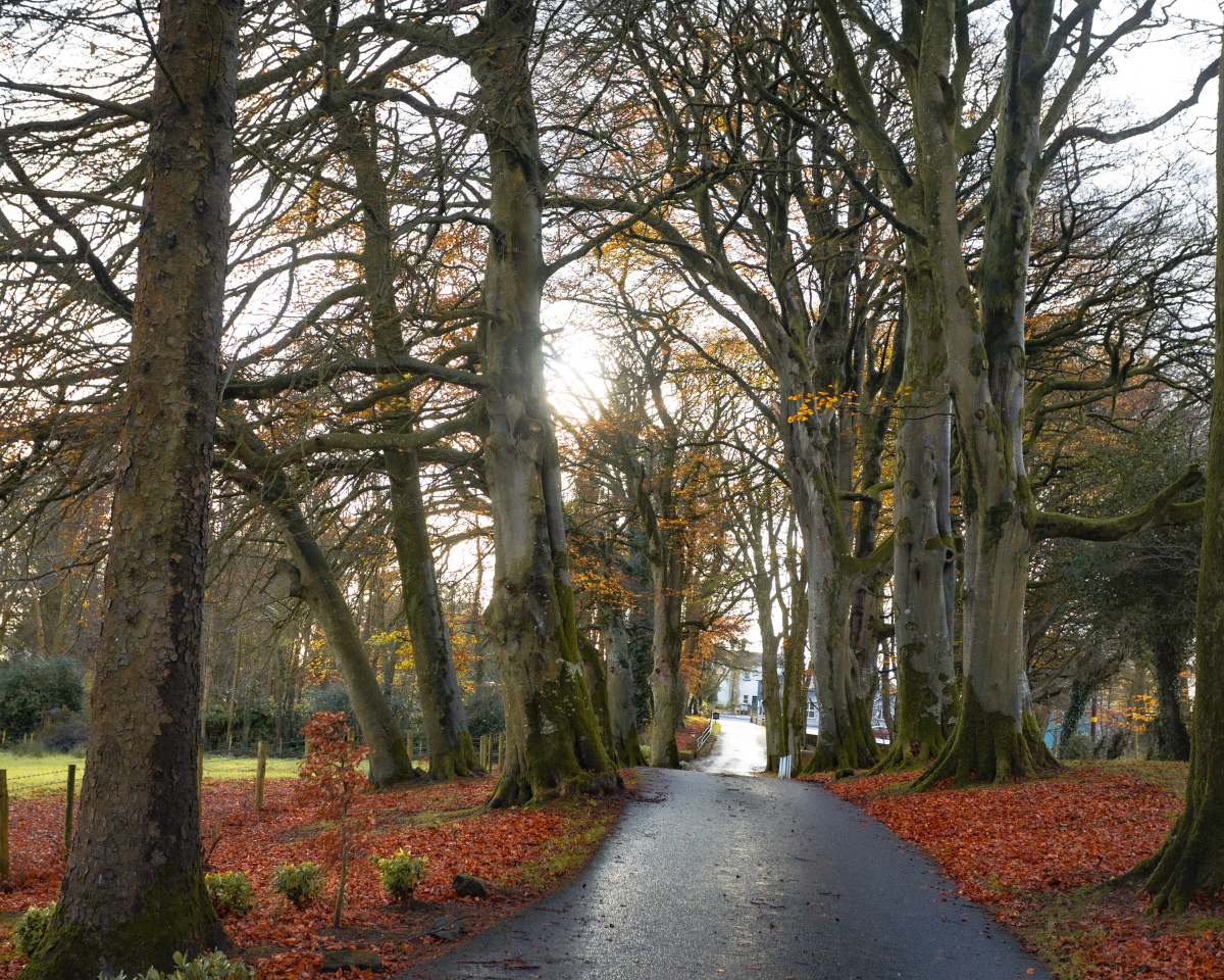 Corick House Hotel & Spa-Image-19