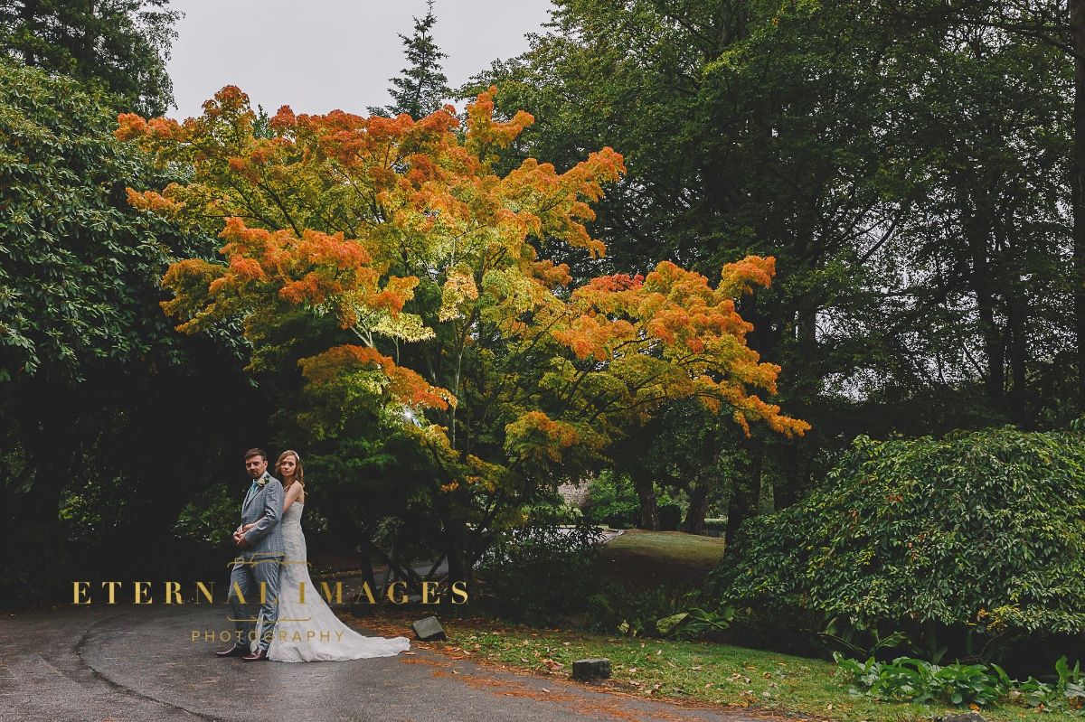 Gallery Item 143 for Whirlow Brook Hall