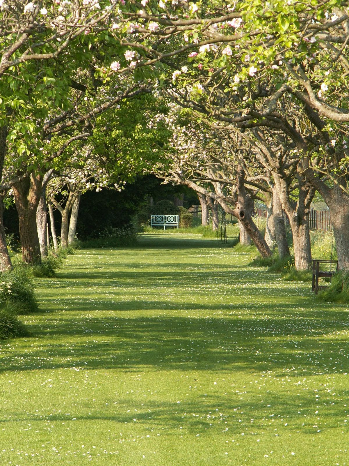 Gallery Item 47 for Helmingham Hall Gardens