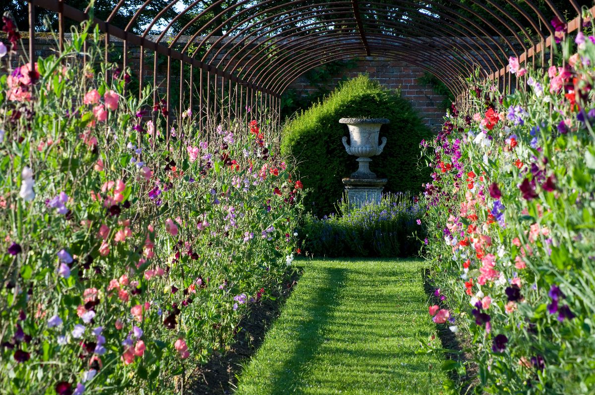 Gallery Item 70 for Helmingham Hall Gardens