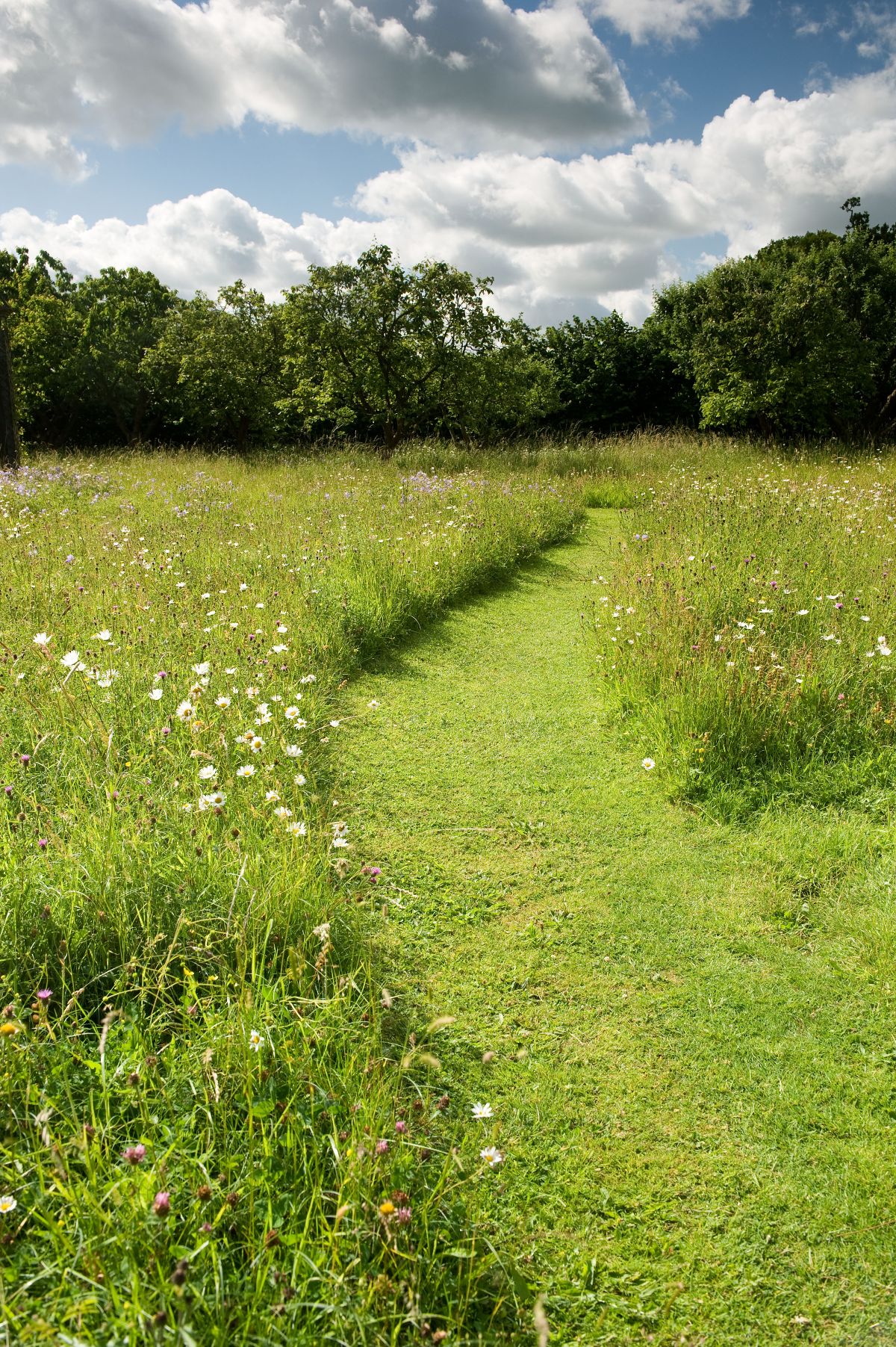 Gallery Item 30 for Helmingham Hall Gardens