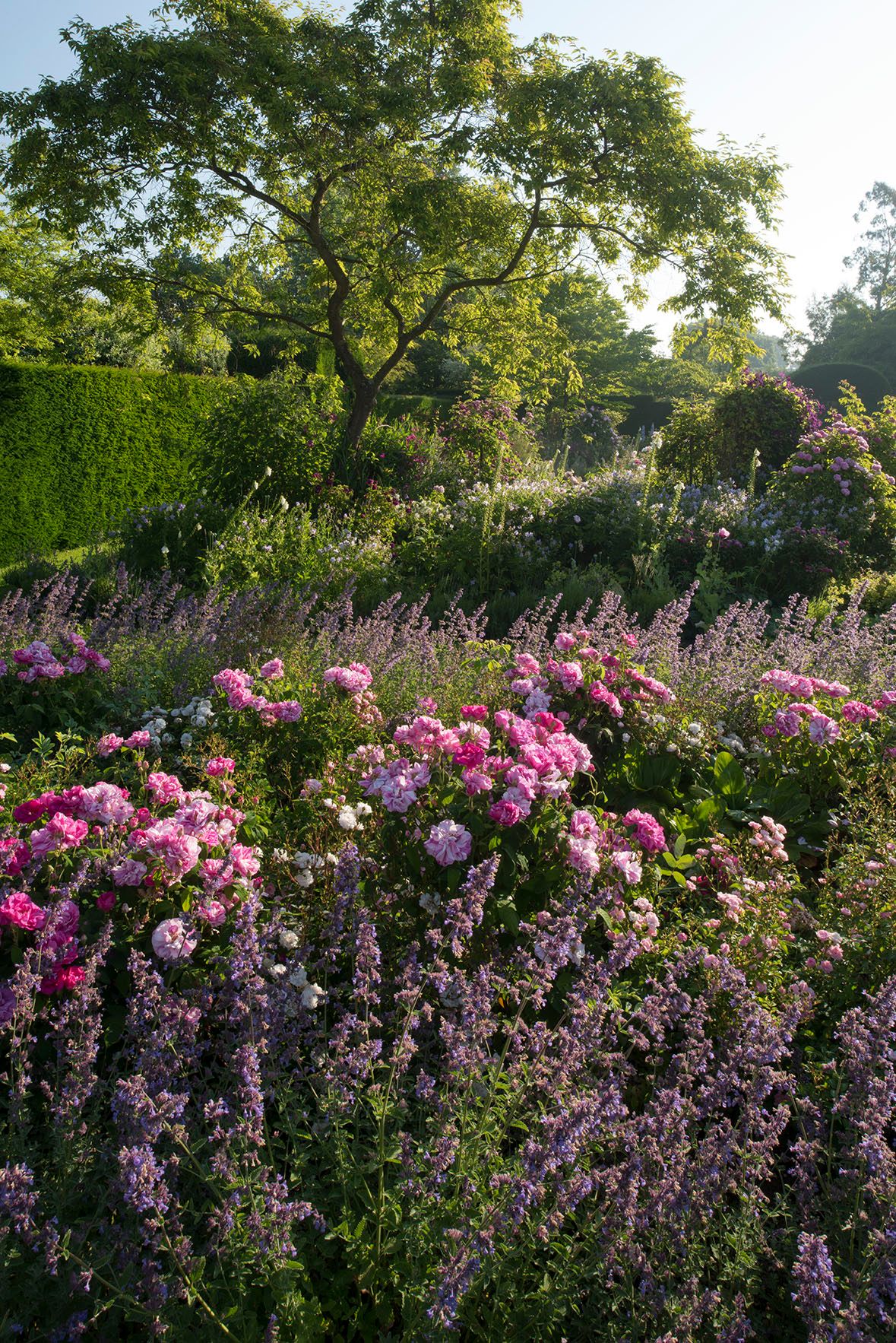 Gallery Item 39 for Helmingham Hall Gardens