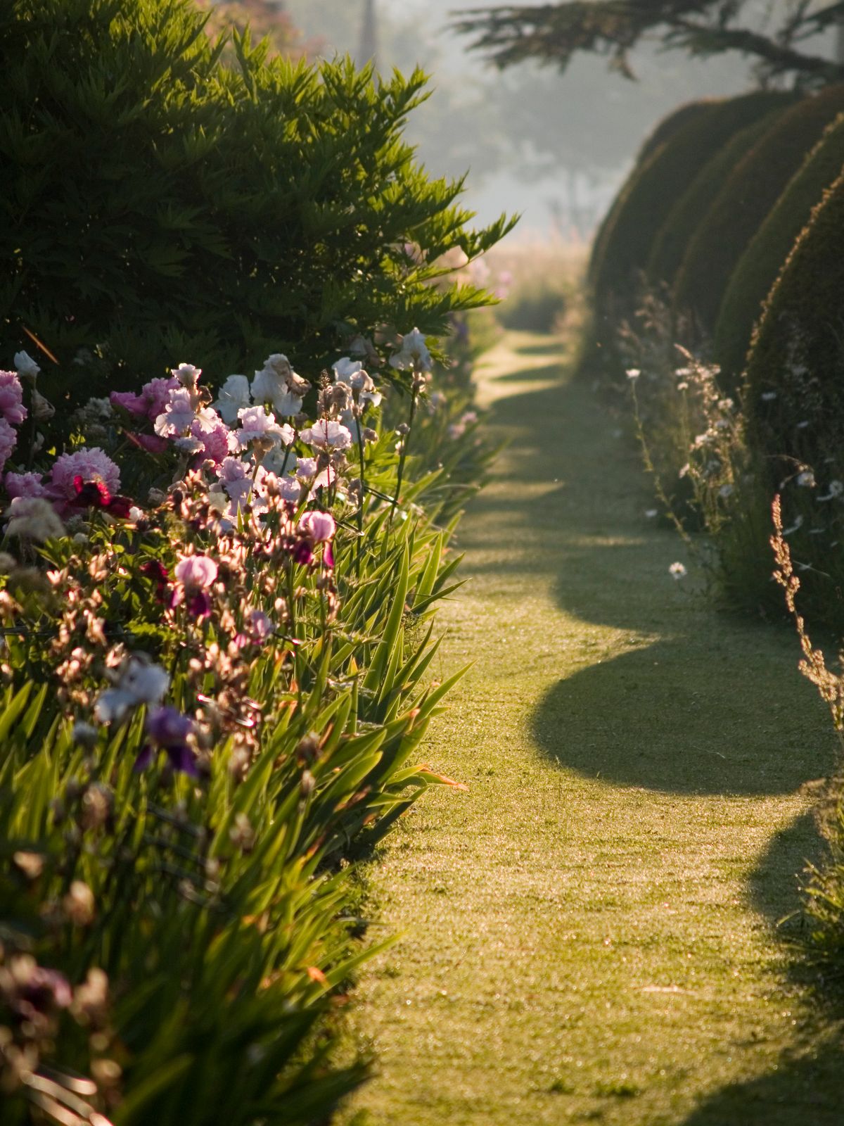 Gallery Item 50 for Helmingham Hall Gardens