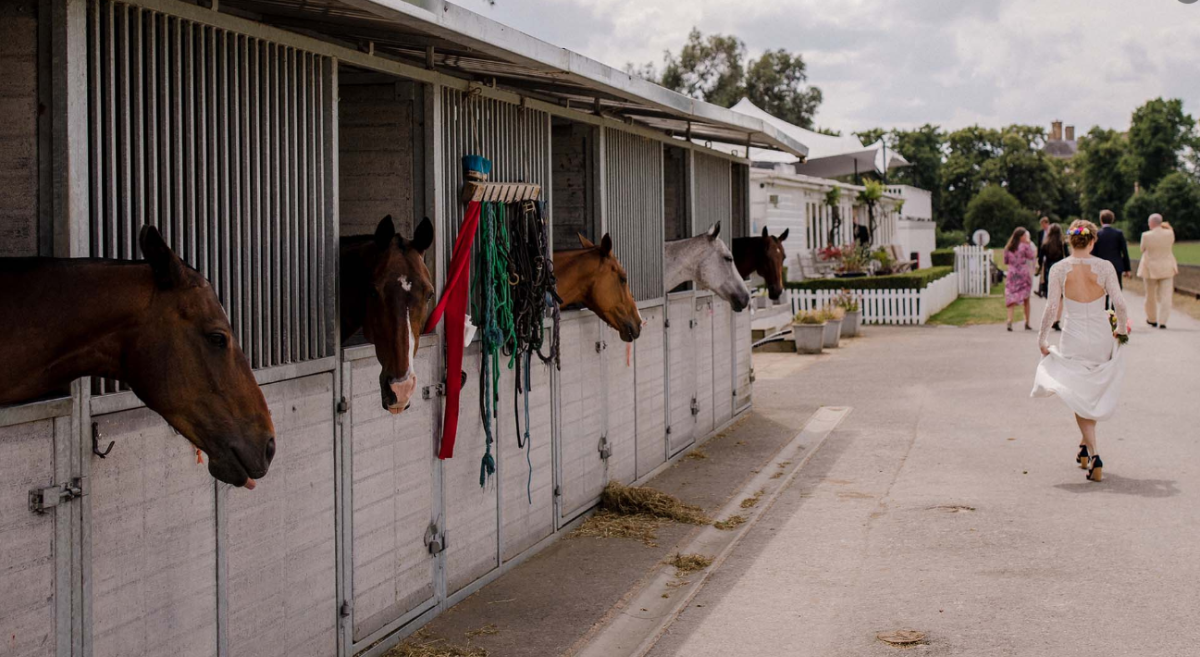 Ham Polo Club-Image-86