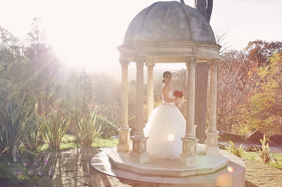 Gallery Item 92 for Rushpool Hall Hotel 