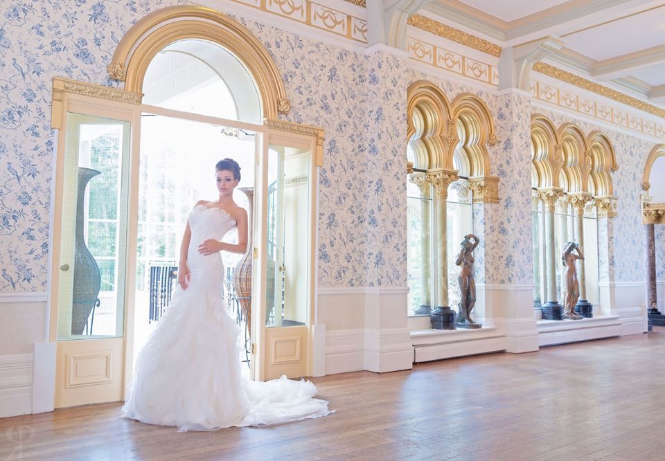 Gallery Item 80 for Rushpool Hall Hotel 